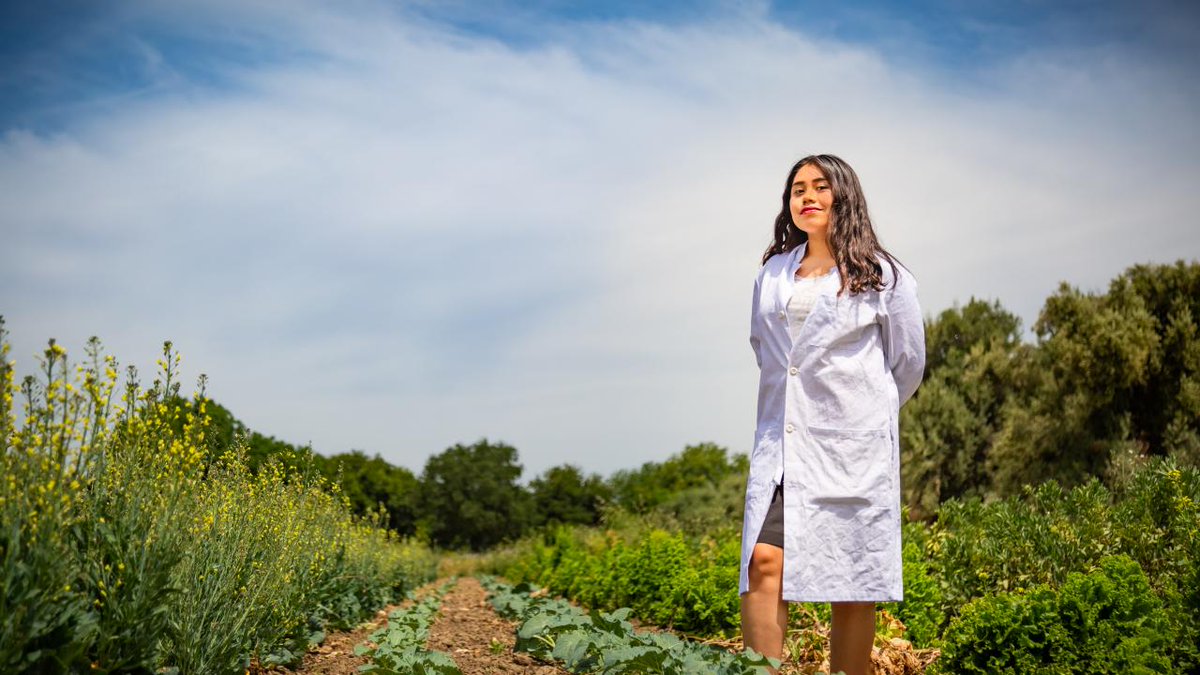 ucdavis's tweet image. Yilda, a first-generation college student, was expected to work in the fields after high school. Now she's a fourth-year biochemistry major. #FirstGenUCDavis | ow.ly/rVBo30keGUs