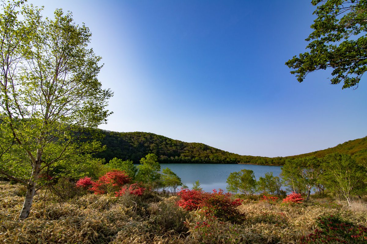 Akagi Trip 群馬県 赤城山ツーリズム On Twitter 本日 赤城山検定にお越しの皆さまどうぞお気をつけてお越しください 赤城山は いよいよ本日から新緑 ツツジウィーク開催 南麓では ざわざわ森で手ぶらでデイキャンプ Pig Out 天気にも恵まれました よい