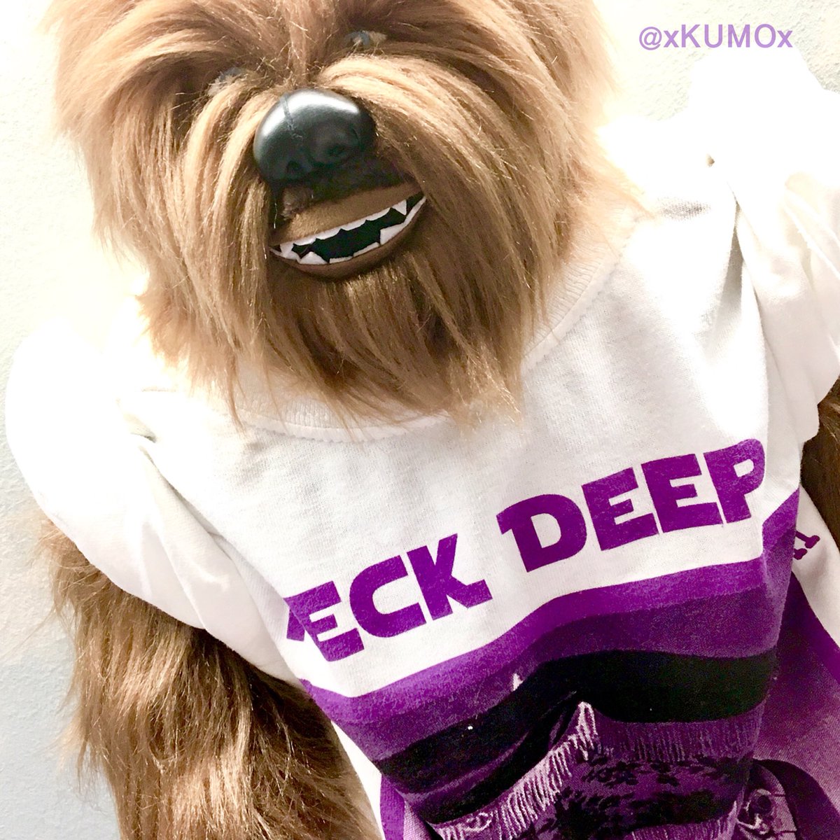 xKUMOx's tweet photo. #maytheforcebewithyou !!
I really wanna go to @neckdeepuk “Galactic Empire Tour”!!!!😆🤘🤘🛸✨✨
My chewie got a cool shirt!
#neckdeep #neckdeepuk #starwars #chewie #chewbacca #solo #hansolo #bandmerch https://t.co/oZDoOY33WQ