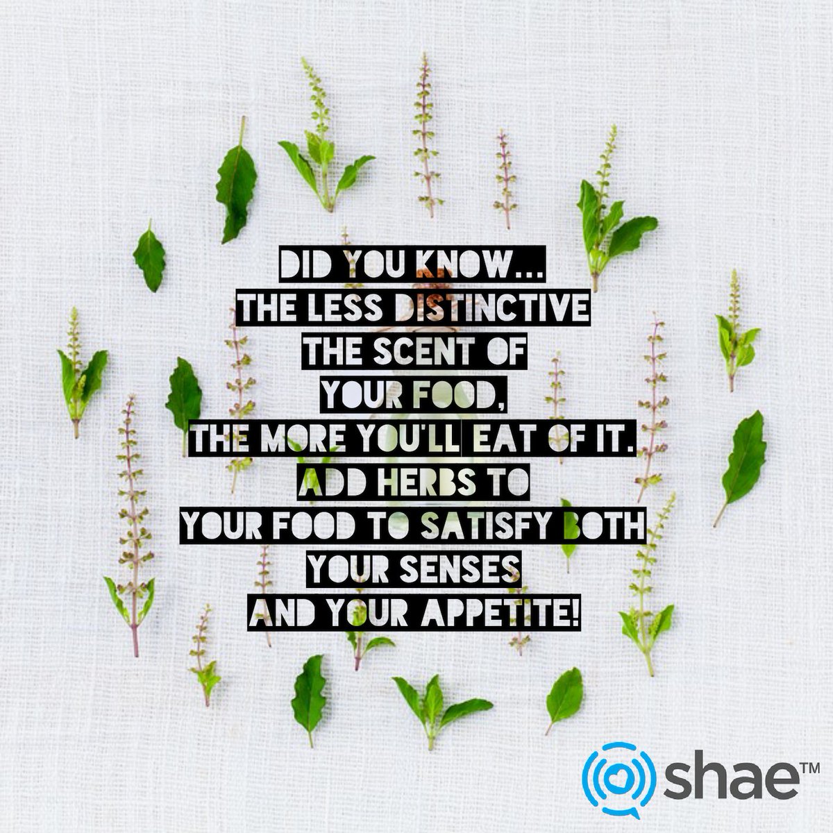 shae_ph360me's tweet photo. Health tip: Add #herbs to your #food to satisfy both your senses and your appetite! #eatsmart #health #ph360 #Shae https://t.co/6gtIlSfqRT