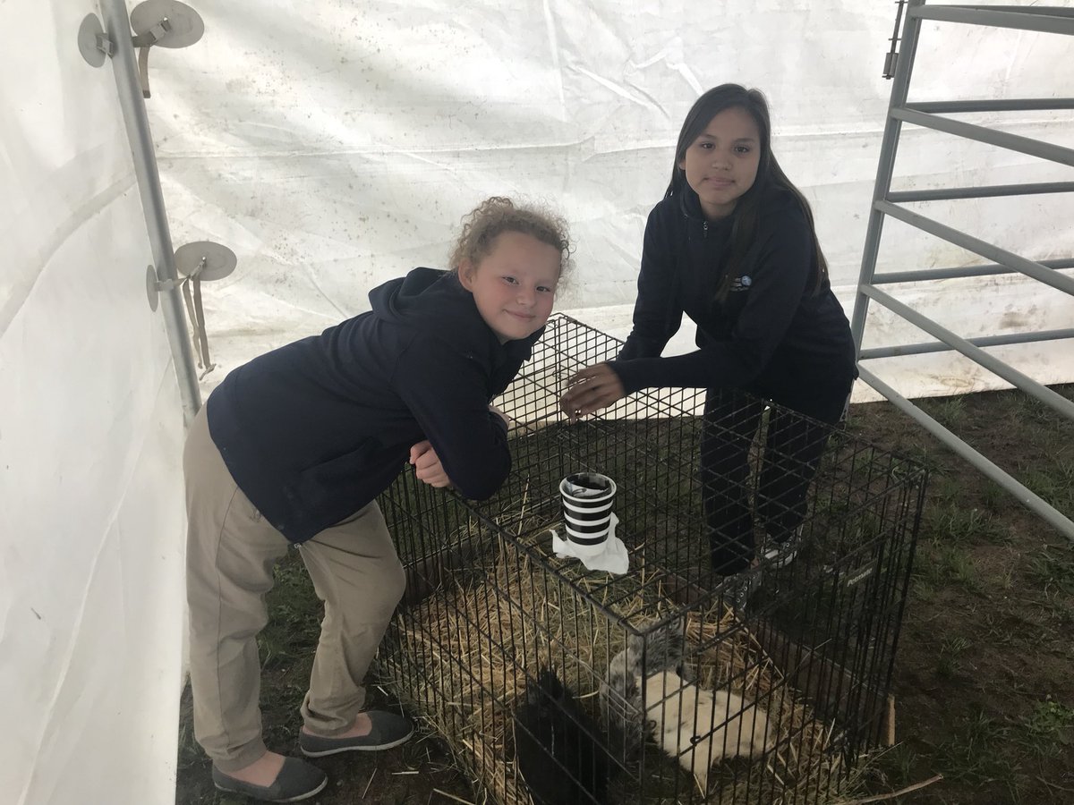 mtmsgrade6's tweet photo. We had so much fun celebrating #iGenRegina with the @EdenCareComm today! Thank you for welcoming us to the party. We loved the treats, the petting zoo, the games and the visits! Such fun!! https://t.co/9A9ZzW70LY