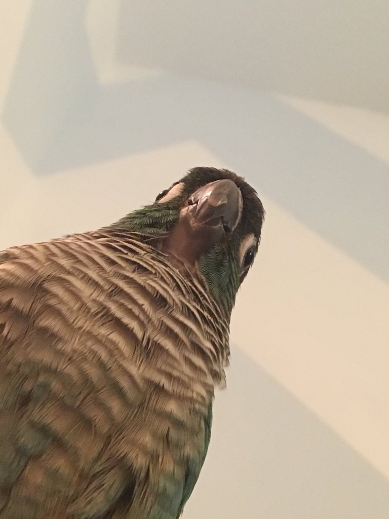 daddyironstark's tweet photo. What                                       What
He                           Vs              She
Sees                                        Sees https://t.co/jU9rWaX17R