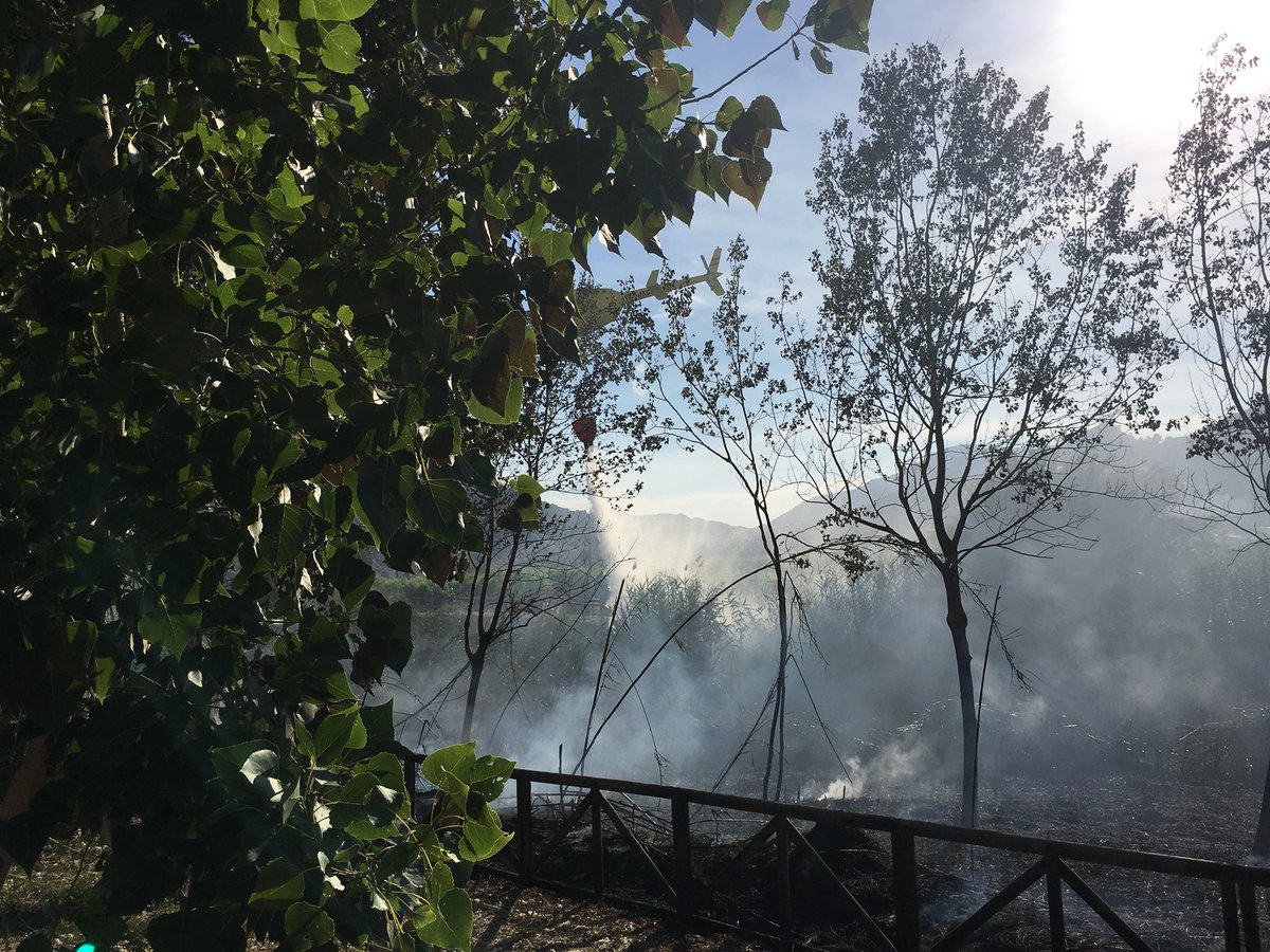 AVPC Valle de Ricote tweet media