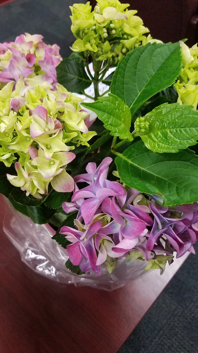 FormerSVista_ES's tweet photo. Beautiful notes and gifts from our amazing Wrangler students &amp; parents!  Thank you for entrusting me with your precious children! #TeamSISD https://t.co/BD1gEpJvad