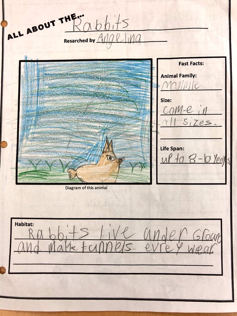 beeswithhoney's tweet photo. Learning how to research different Canadian animals! Finding our information in books and online. Collaborating with our peers and sharing what we learn! #science #div16 @WhiteRockLearn @Surrey_Schools https://t.co/2ac6jcDwJI