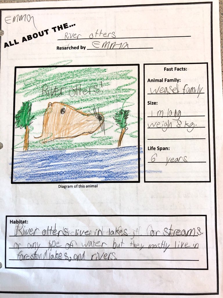 beeswithhoney's tweet photo. Learning how to research different Canadian animals! Finding our information in books and online. Collaborating with our peers and sharing what we learn! #science #div16 @WhiteRockLearn @Surrey_Schools https://t.co/2ac6jcDwJI