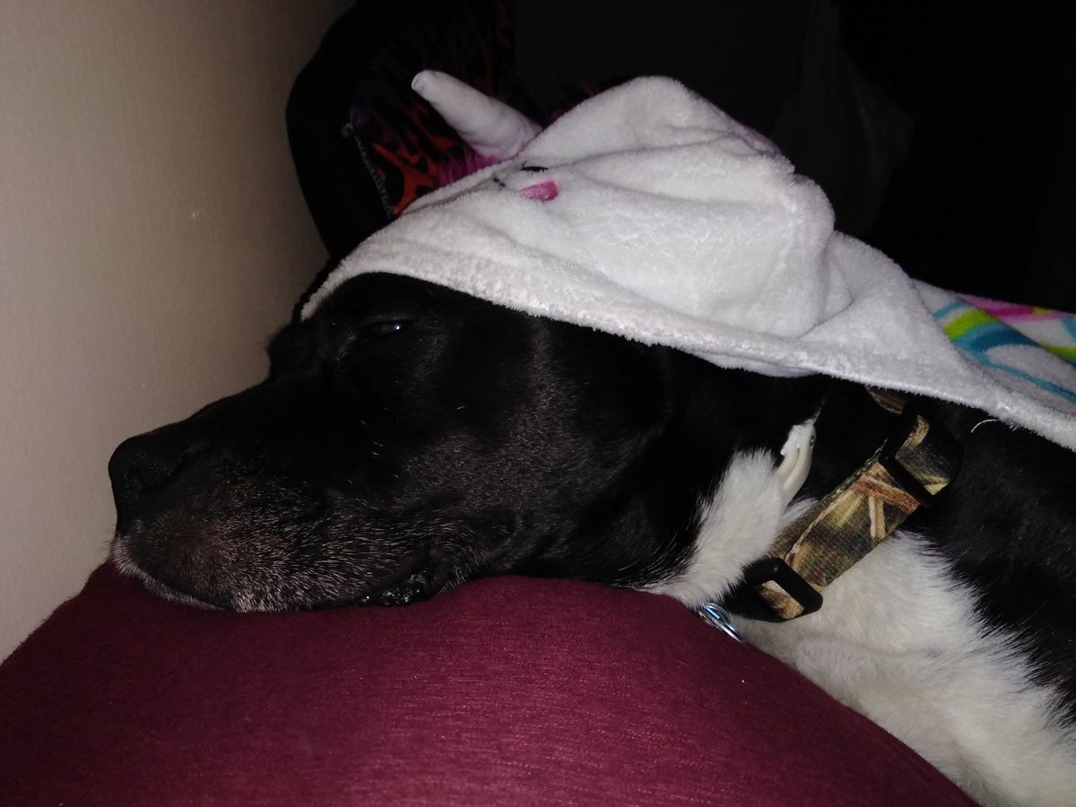 VegaLivePDK9's tweet photo. @9PMRoutine1 @PascoSheriff locked up in Michigan will #LivePd please hurry up!! https://t.co/AW7UJoKsXA