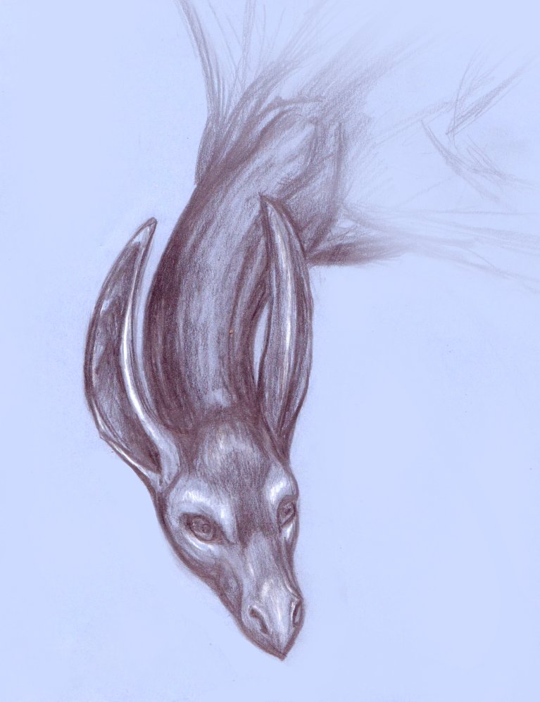 AuriScribbles (@auriscribbles) on Twitter photo 
