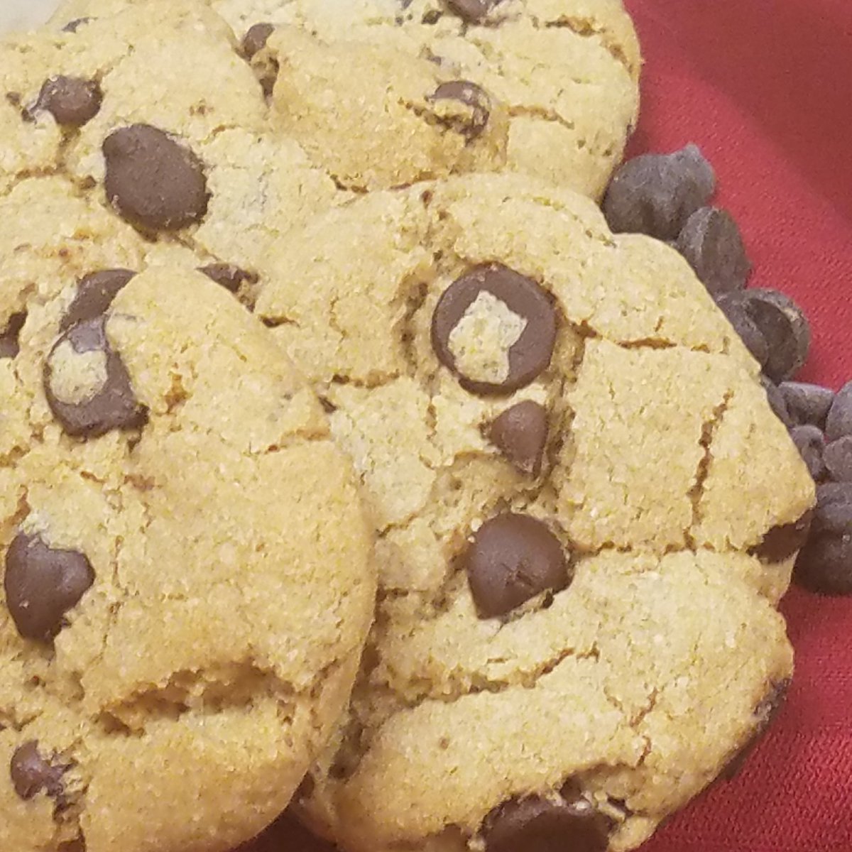 debbdoodles's tweet photo. Doodles Cookies is #organic #glutenfree #soyfree #dairyfree #peanutfree #vegan. Come into #Javaplus in #auroraillinois. #peanutfreezone
#chocolatechipcookies #gfchocolatechipcookies #gfcookies #gfmagazine https://t.co/XDtP9lFrF6