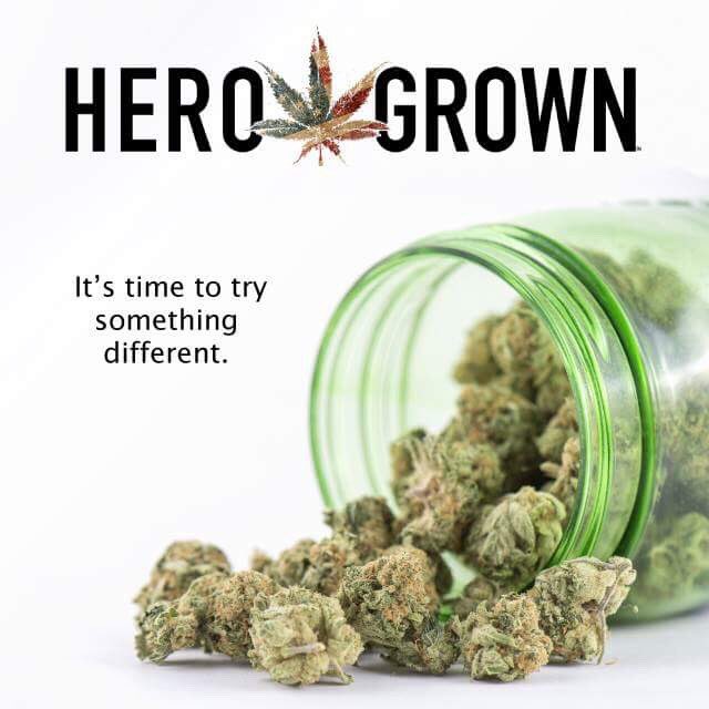 herogrown's tweet photo. American Heroes deserve the right to use the medicine of their choice without risking their job, medical benefits, or freedom.

#PillsKill #HeroGrown #CannabisHeals #SaveOurVeterans https://t.co/UQvPjr1rQT