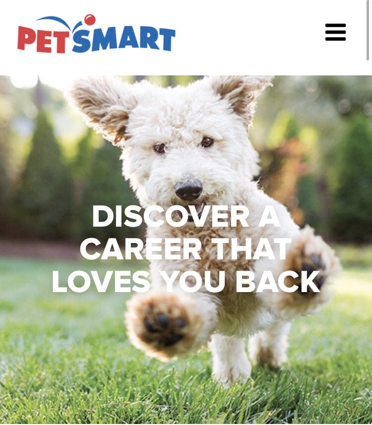 raynham2480's tweet photo. Raynham store is hiring a part-time manager, Petcare, stockers, bathers, and cashiers. #job-opportunities #welovepets #petsmart.careers.com #raynhampetsmart https://t.co/H4iwMwEElf