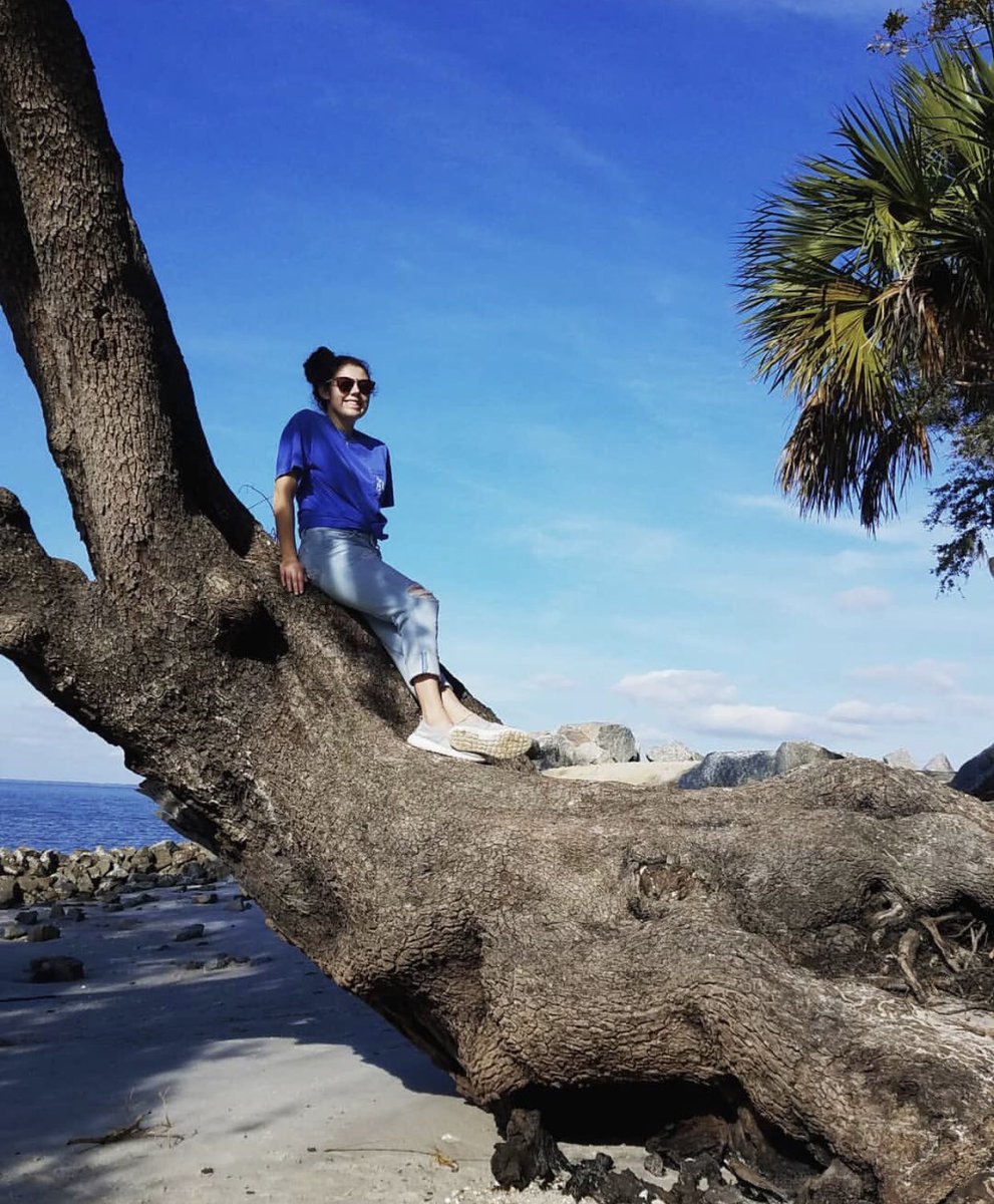 ✮ ALPHA OMICRON  PI ✮ tweet media