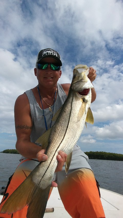 gamblerlures's tweet photo. #FlappnShad taking another big #LineSider!
#Snook #HookupLures #inshore #fishing https://t.co/iBZRDQg7j8