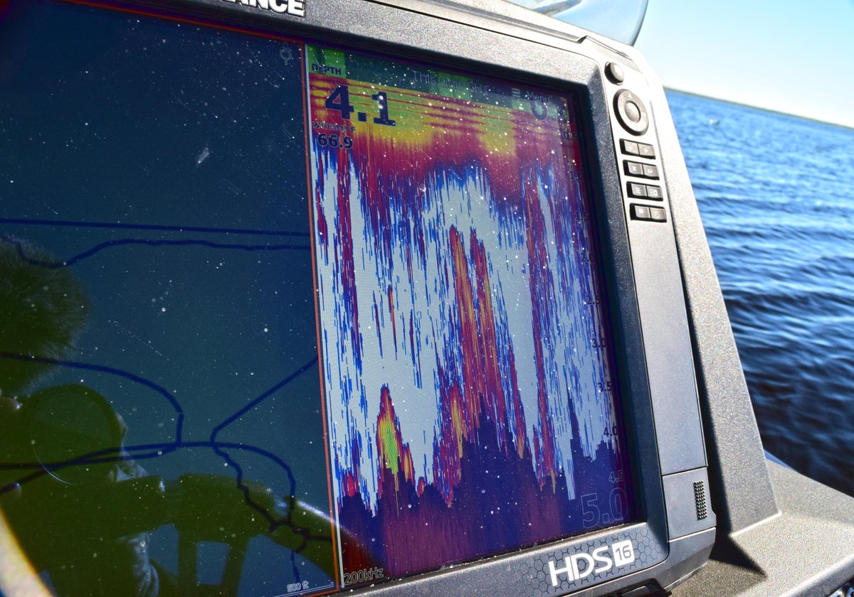 jtkenneyfishing's tweet photo. Scattered grass - the perfect maze for my green friends to roam!
Lowrance #HDS16 https://t.co/hB1OkqzliM