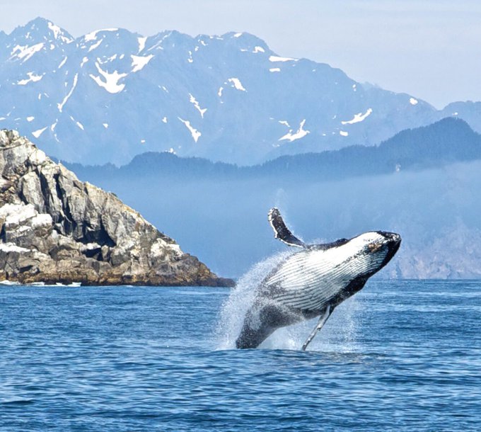 Native Indian Crafts And American Indian Art And Online Store