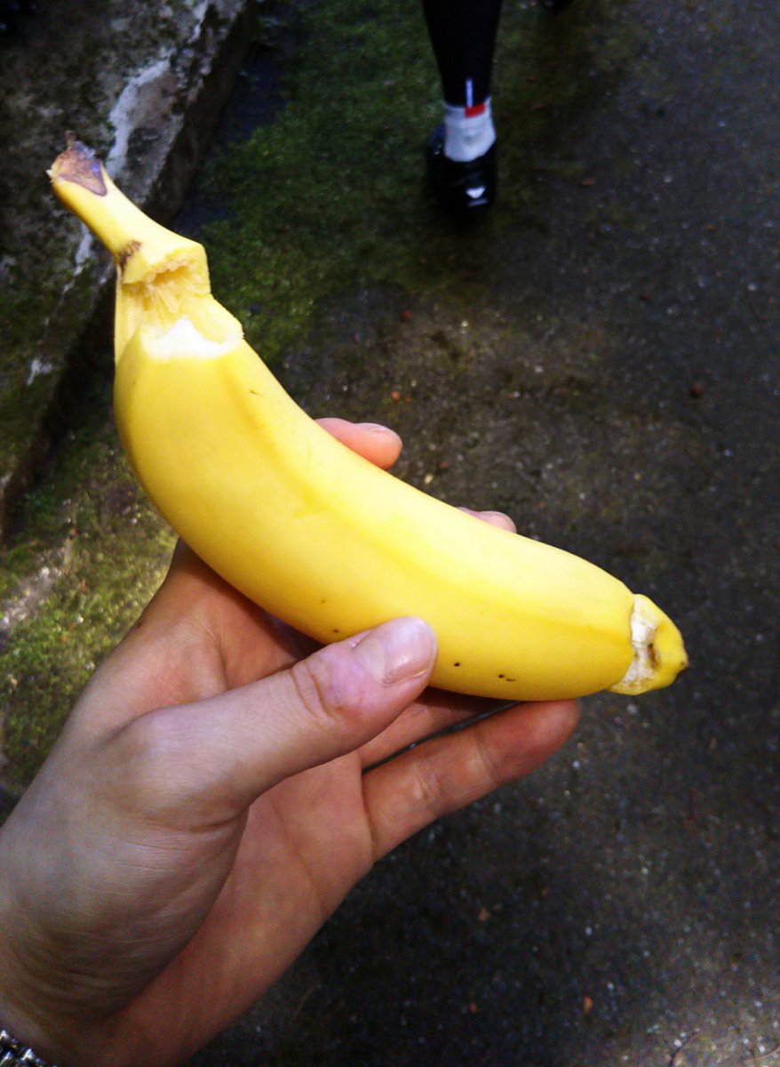 preartgorippa's tweet photo. おはようございます！この間、試走会に行ってきました！本番も今日くらい晴れるといいなと思います🌞補給食のバナナが美味しすぎました。 https://t.co/Uu8Nm0ExZv