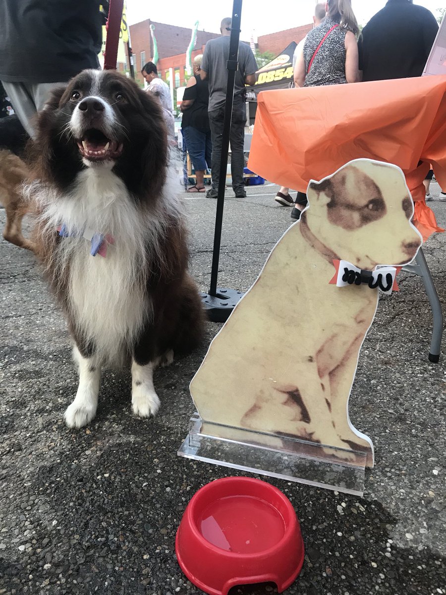 HarveyMassMu's tweet photo. Matching bows!!! We are doing arts and crafts at #CantonFirstFriday! #PetMembers #MassMu https://t.co/snhiwZENeF