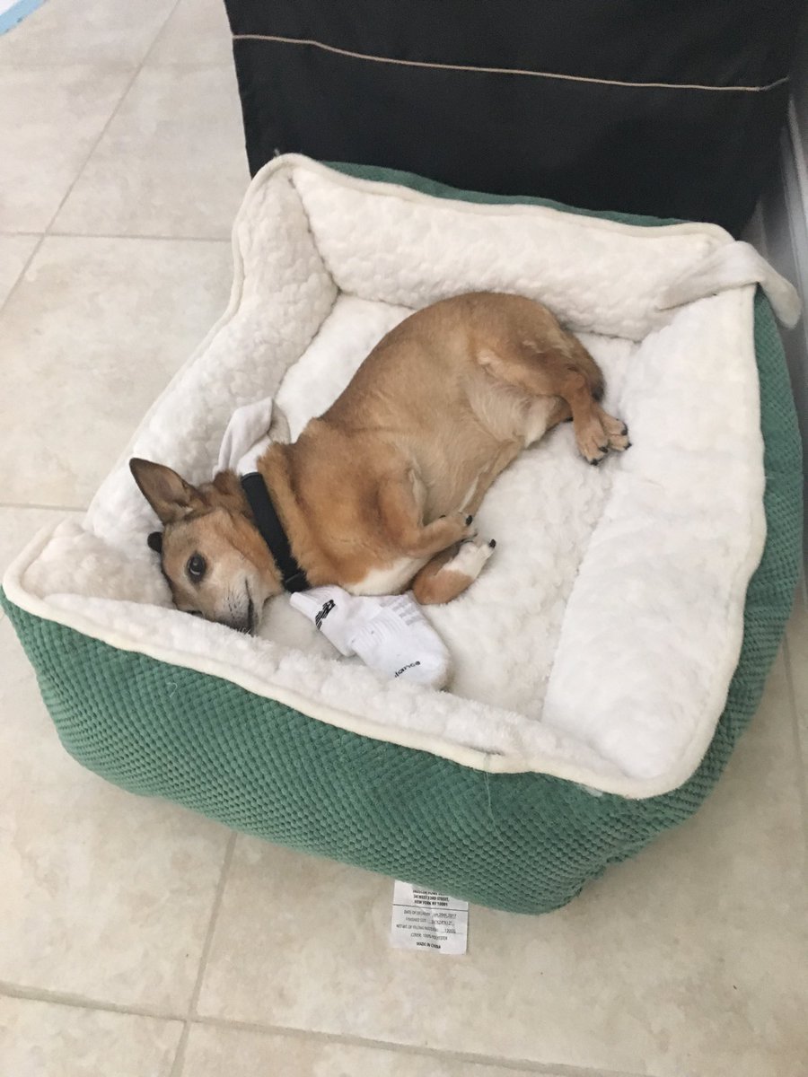 FactsMinute's tweet image. Happy Birthday Jelly! I love you ❤️