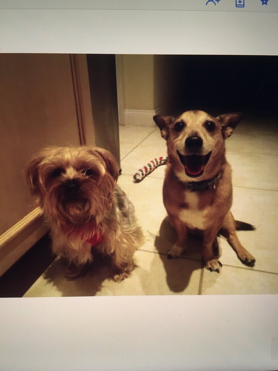 FactsMinute's tweet image. Birthday boy 🎈🎈🎈🎈🎈🎈🎈🎈🎈🎈🎈🎈🎈