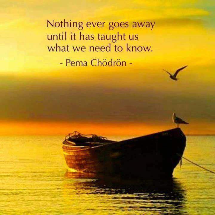 getsetgo_london's tweet photo. We must heal in order to avoid repeating the lesson #Healing #DomesticViolence #NeverAgain #ifmywoundswerevisible #selflove #selfcare #wellness #newstory #movingon #coaching #mindsetcoach @getsetgo_london https://t.co/DhHQAFgwMF