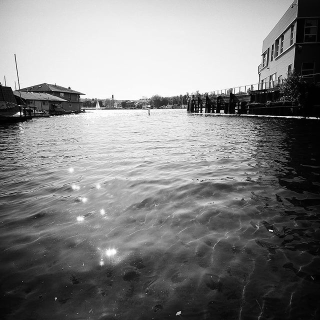 Lake Union #shootfilm #seattle #believeinfilm #fomapan100 #fomapanfilm #filmphotography #filmisnotdead #blackandwhitephotography #120film #mediumformatfilm #mediumformat #ishootfilm #analogphotography #analogfilm ift.tt/2xCBWNG