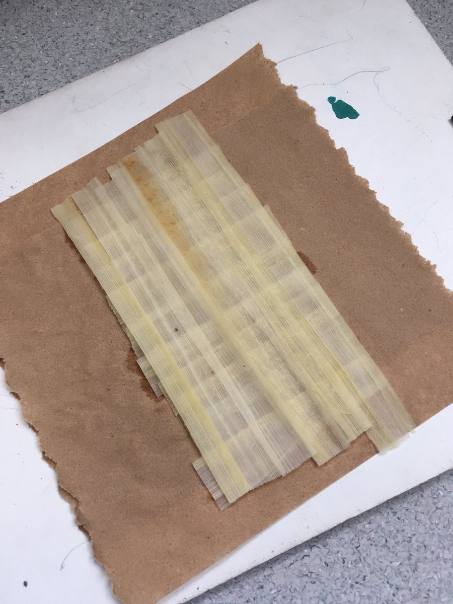 Experimenting with papyrus at the <a href="/RoyalBCMuseum/">Royal BC Museum</a>:
 
Step 2) Overlap papyrus strips horizontally, then layer overlapping stips vertically. No need to weave the strips as the natural papyrus glue will hold all the pieces together! #RBCMEgypt #SummerCamp