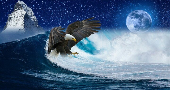 горы море орел. птицы над водой. орел черное море. орел над морем. чайка на море.