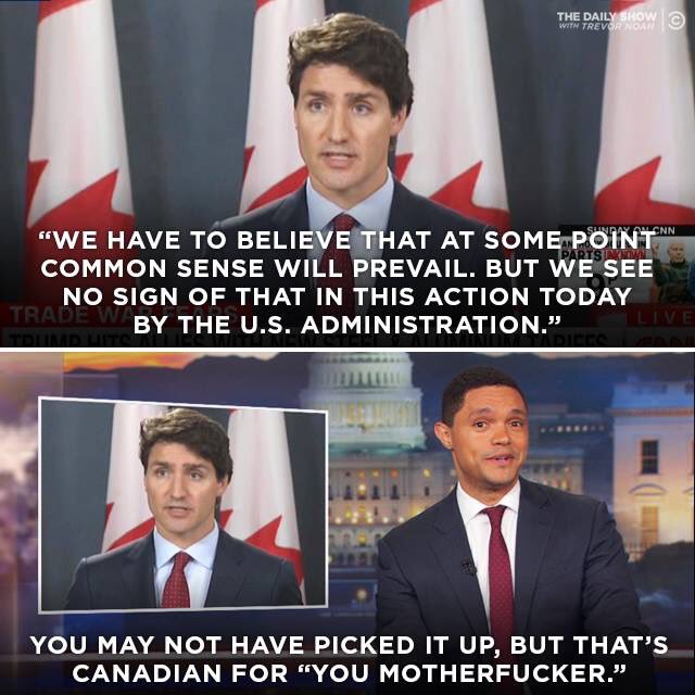 KirvInk's tweet photo. I had to share. Sums up Canadians perfectly! https://t.co/YrbLBGukCk