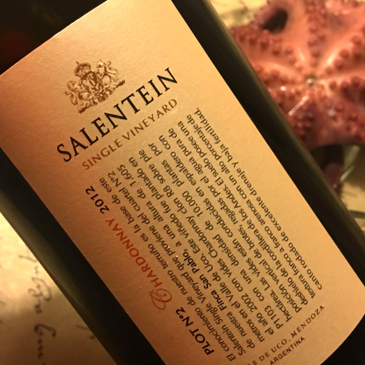 GabyMascolo's tweet photo. #ViernesSarpado ๐๐ท@BodegaSalentein #VDU Cosa Seria!! #Plot2 Chardo 2012โฅ๏ธ https://t.co/f5oIxAyQi7