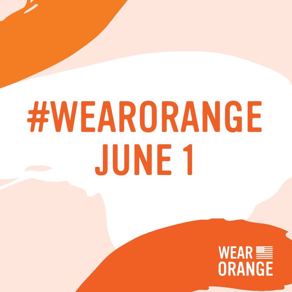 wluppga's tweet photo. Today, we #WearOrange to give a voice to the 96 Americans who die and the hundreds more who are injured by gun violence every single day. Why do you #WearOrange? https://t.co/fc7UUehtT5