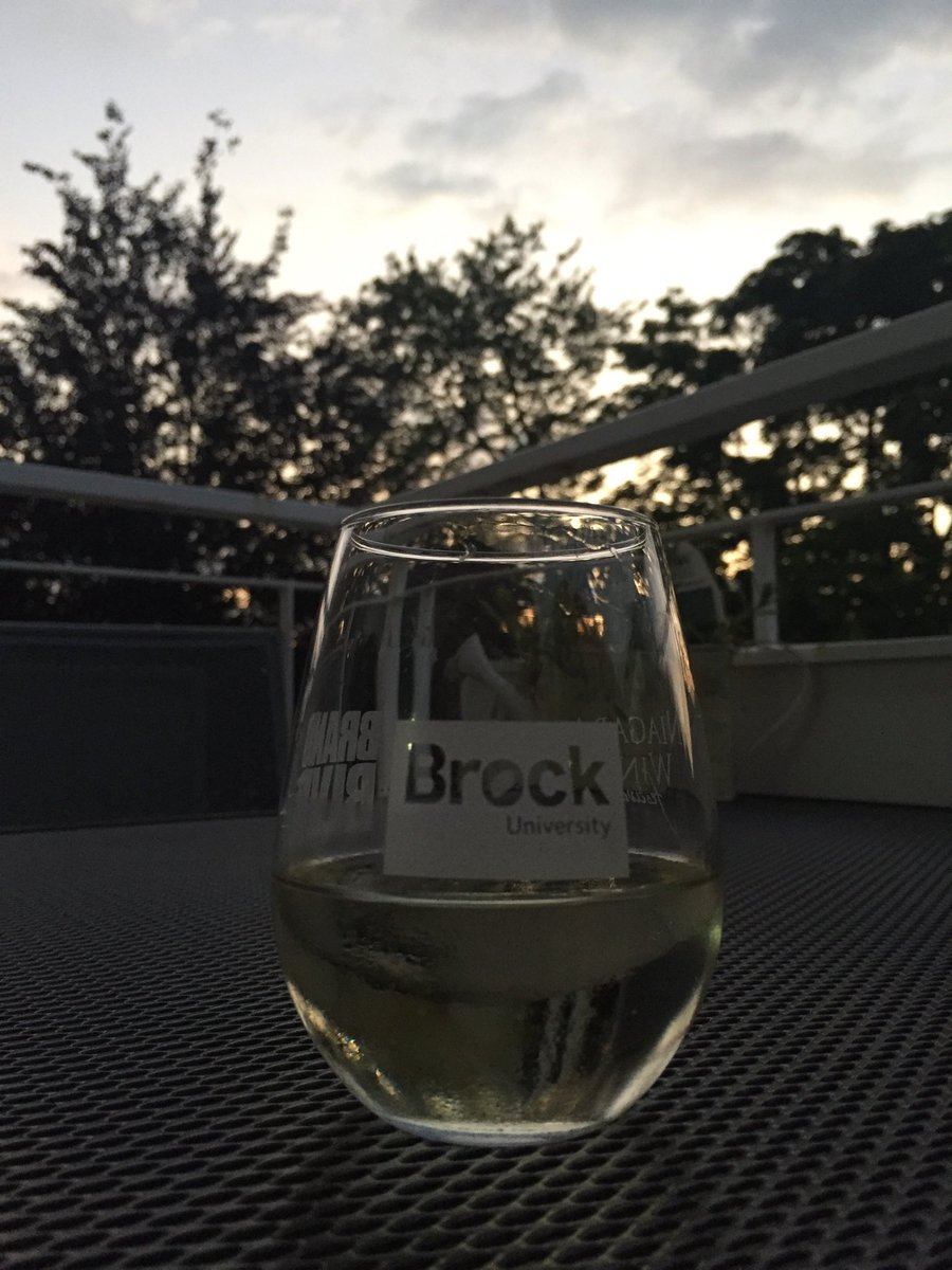 JacquelineBeres's tweet image. Submitted my comprehensive portfolio to @BrockEducation. It’s only fitting that I enjoy my celebratory wine in this glass. #HowAppropriate #PhDLife