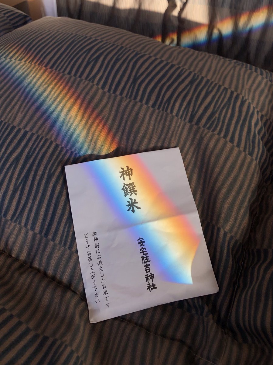 モーニング三国行ってきます🔅
お米パワーで予選突破🍚