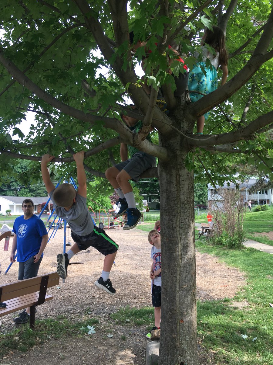 ReimaginingRecess tweet media