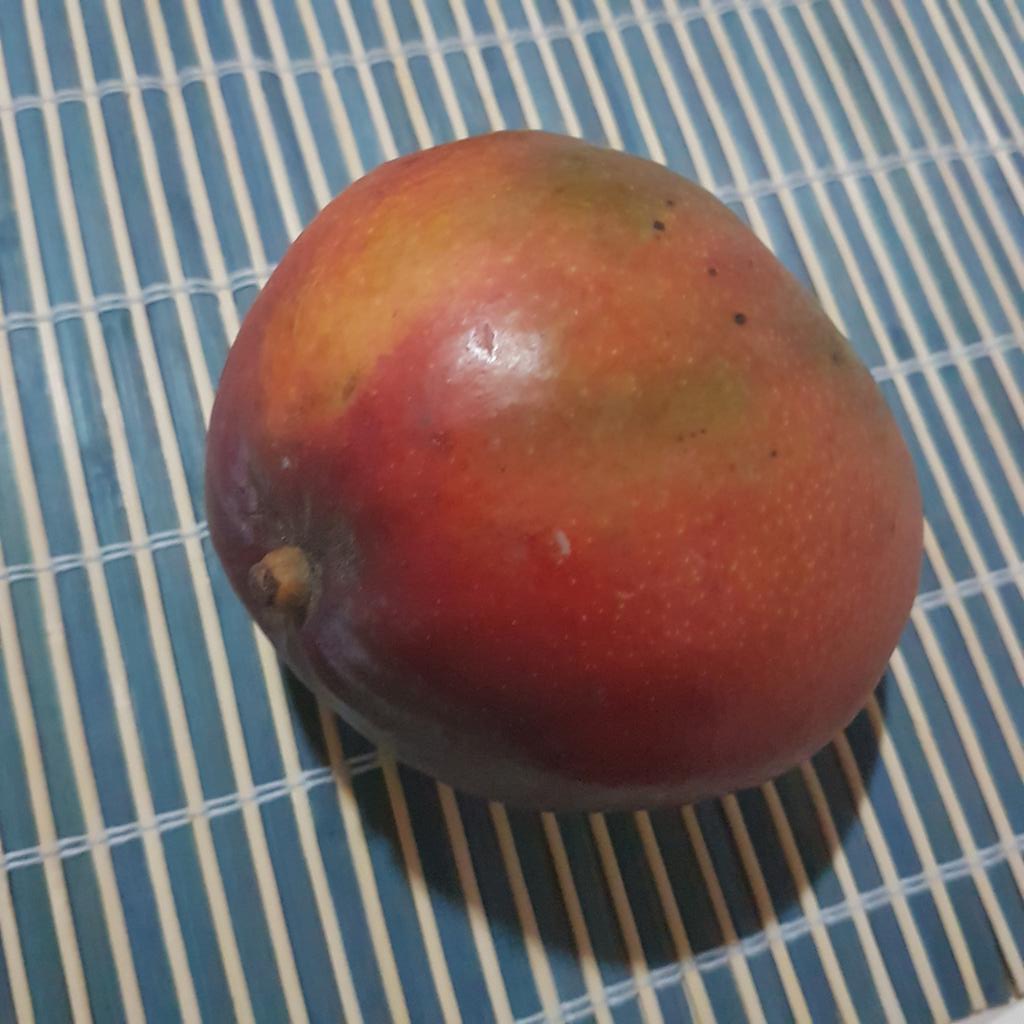 ManManPemba's tweet photo. Did you know that this mango type is called "anba jupon mona" ? Well now you do ! #MangoSeason #Haiti https://t.co/F2ArtFwdUj