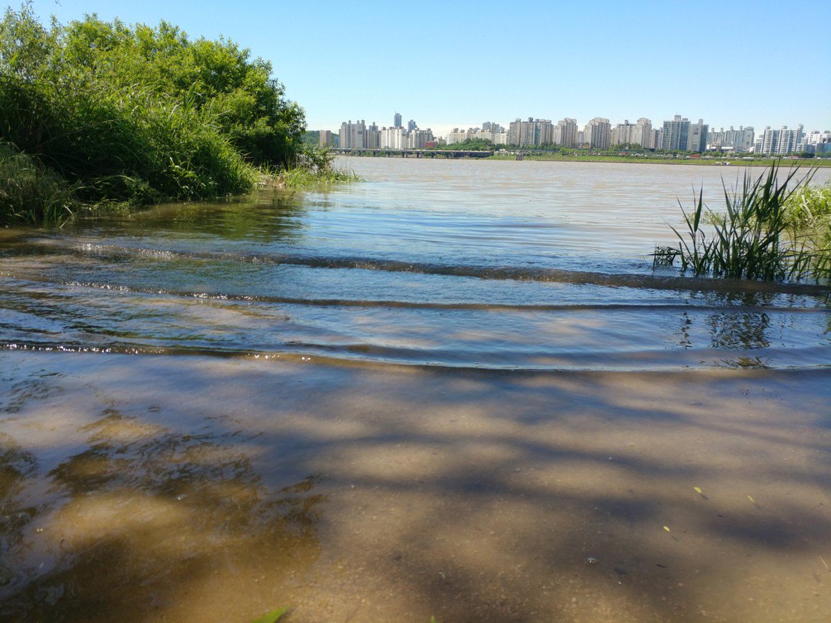 geouyun's tweet image. 한강변 자연 하천구간