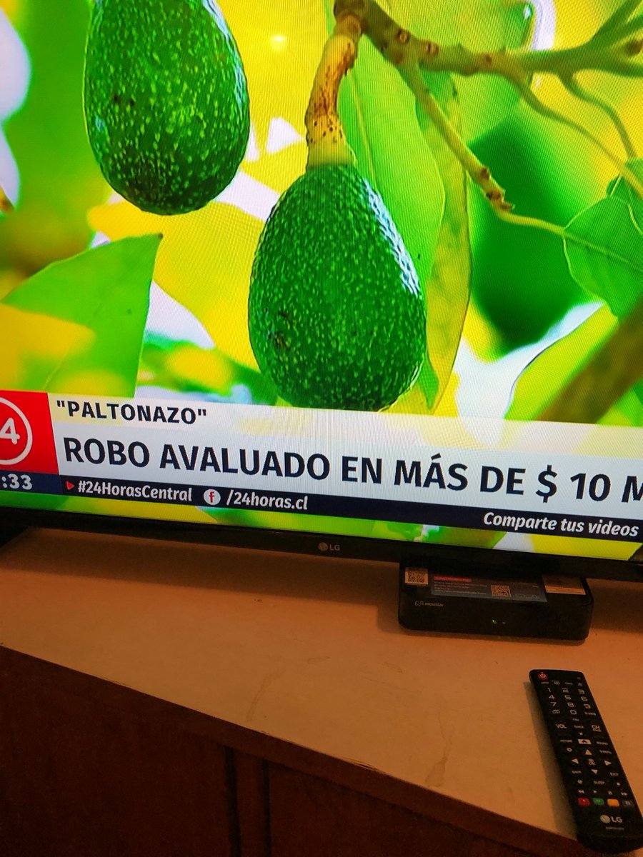 conop's tweet photo. Y con lo cara que es la #palta nació el #paltonazo ☹️ https://t.co/G0sDXO1zUM