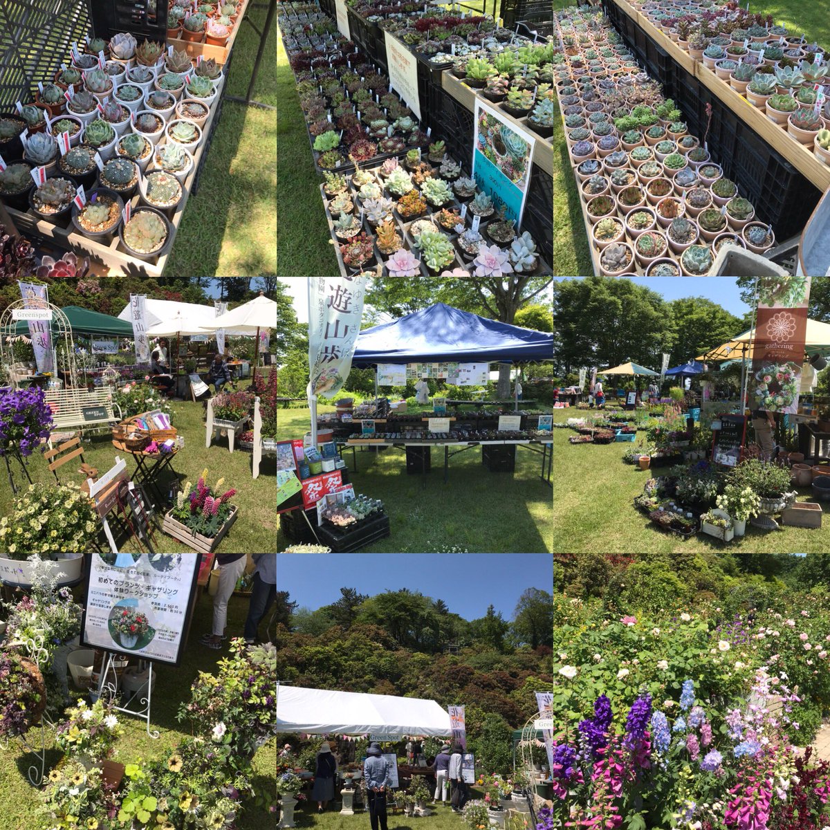 Blue Leaf 花自然植物園 泉ボタニカルガーデンで開催される 花遊山歩 に出店となります 日時 6月2日 土 6月3日 日 10 00 16 00 会場 泉ボタニカルガーデン芝生広場 981 3225仙台市泉区福岡字赤下 駐車場 230台 主催 とうほく花街道