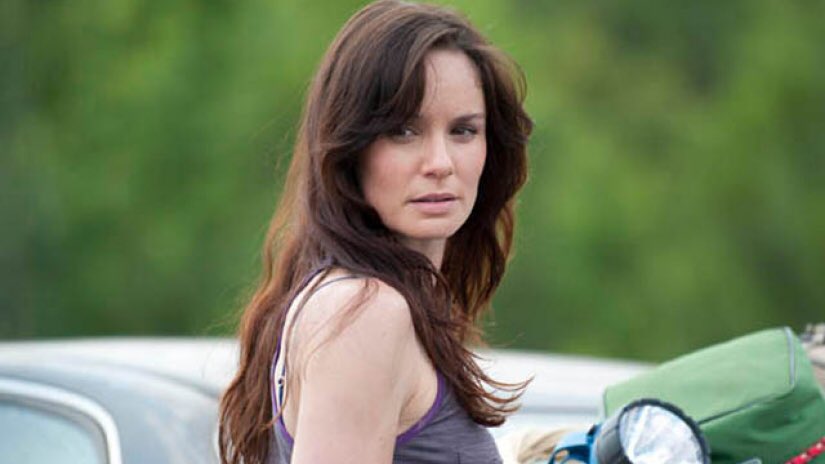 Happy Birthday to Sarah Wayne Callies!     