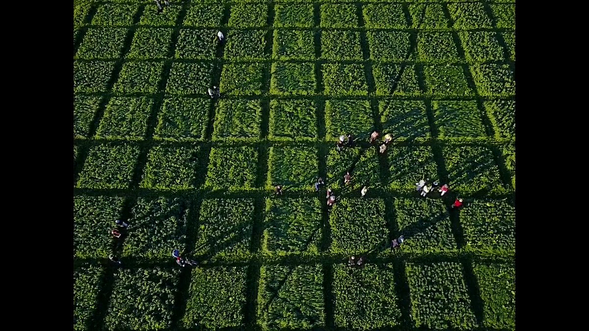 Soil First Tasmania tweet media