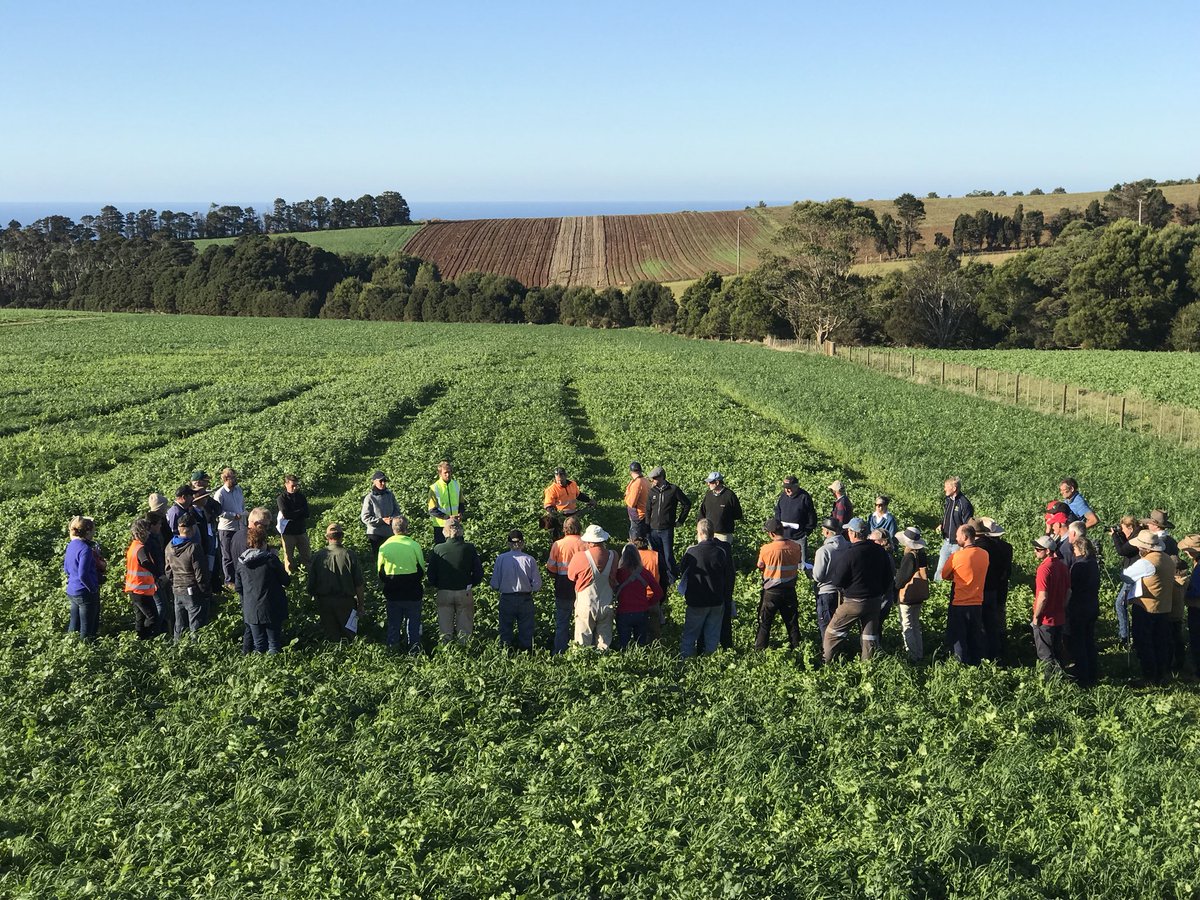 Soil First Tasmania tweet media