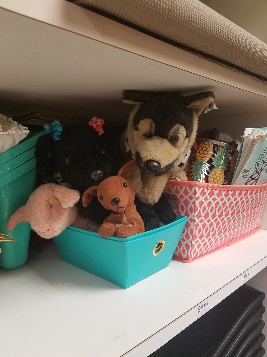 miss_P_wce's tweet photo. That's a wrap!! I'm ready for you, YEAR 10. Class pets are packed up, along with my room! Thankful for my sweet babies and parents. Willow creek is a great place to be!! #thirdgrade #pineapplyeverafter #bringitonsummer #wce #humbleisd https://t.co/qXbK6vIehf