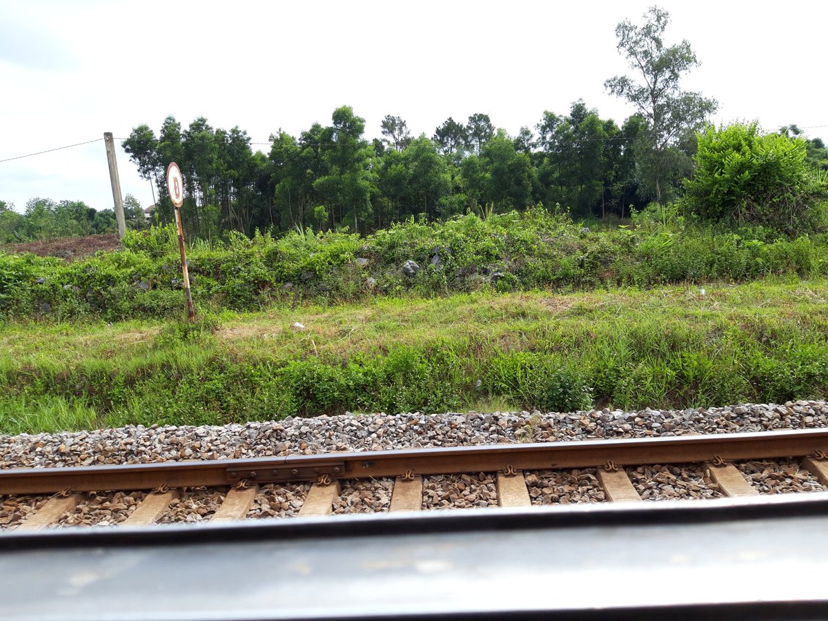 axe_ngo's tweet photo. #onthetrain #comebackhome https://t.co/880gye4nGG