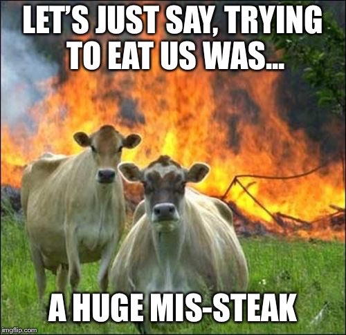 Don’t mess with Bess 😆🐮💚#veganaf #veganfortheanimals
