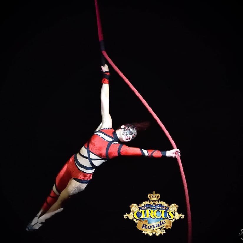 CircusRoyale's tweet photo. It's the WEEKEND and you know what that means! 
4 BIG SHOWS 
Today 4pm &amp; 7.30 
Sun 1pm &amp; 4pm 
Come see amazing #acrobats, #daredevils, #funny #clowns and more 
BOOK NOW!!! 
.
.
#circus #rowville #studpark #circusroyale #blueandyellowbigtop @DamianSyred @D_S_Presents @365tix_news https://t.co/nYStpZ1lNn