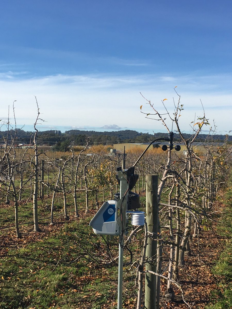 Not much work for the weather station today. An absolutely beautiful winters day. #lovetassie
