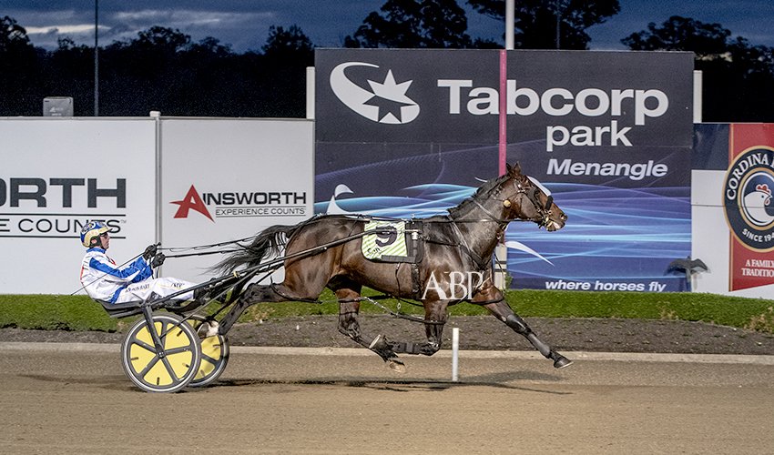 Race 1 @TPMenangle - ULTIMATE ART / <a href="/formosamick/">Michael Formosa</a> &amp; Cameron Hart #Trots #APG