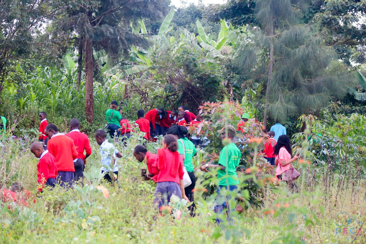 Antiqueadventur's tweet photo. How we spent our Madaraka Day....Twas all about going green,planting trees somewhere in Riruta,Kabiria primary together with team DECA just to make that small difference....
#Millykim
#IamDeca
#Givingisliving https://t.co/MsLAuLbSrg