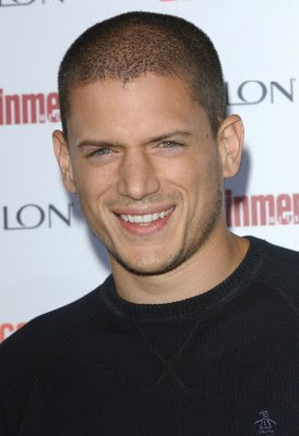 Happy Birthday Wentworth Miller 