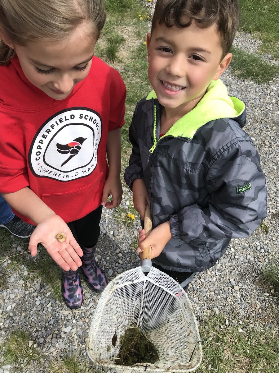 CF_kindies's tweet photo. It was so great to see so many of our kindergarten families at the fish release today! @Copperfield106 https://t.co/UbEodv8Joa