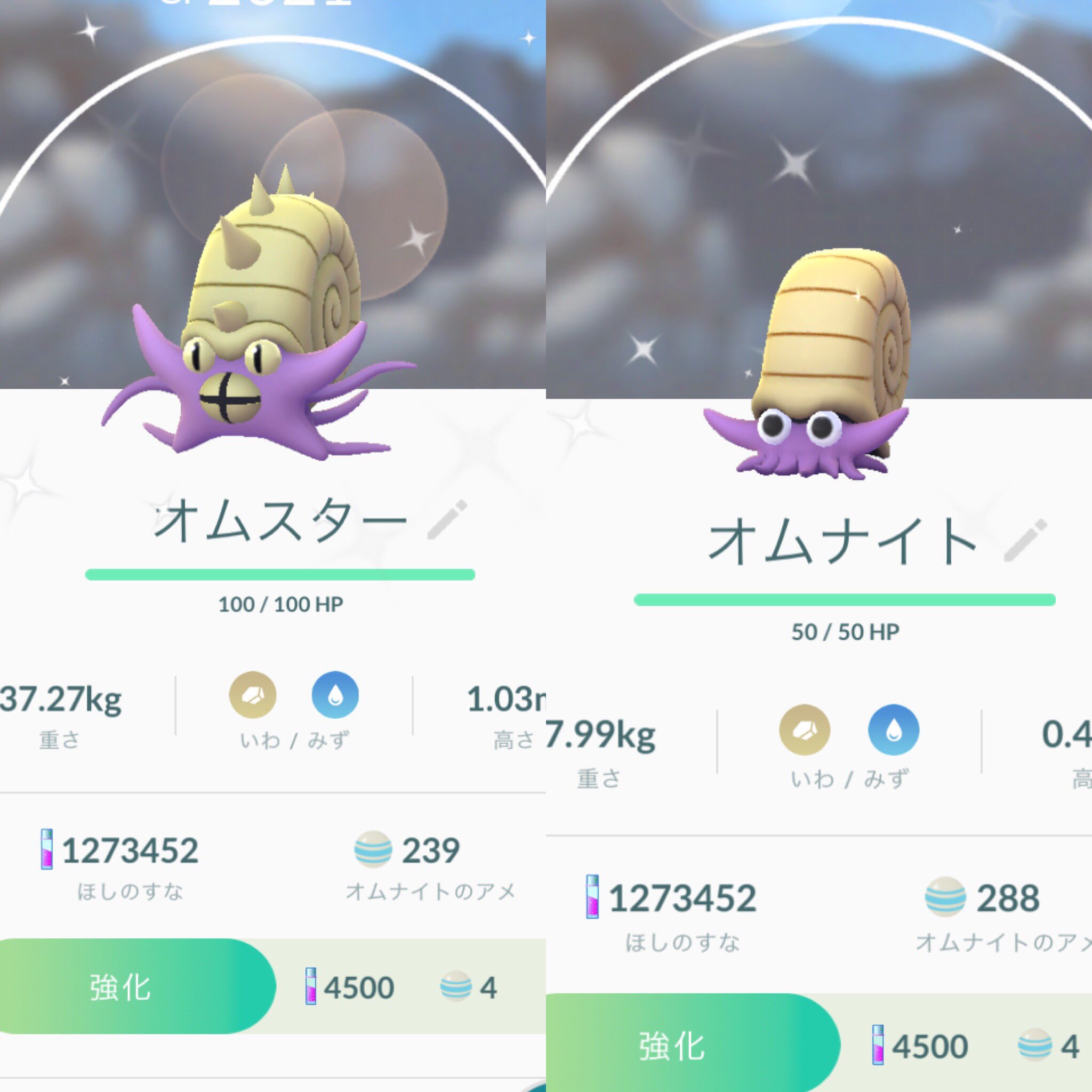 モモンガ 色違い進化ー 紫オムナイト紫オムスター ポケモンgo ポケモン T Co Qd45eddi38 Twitter